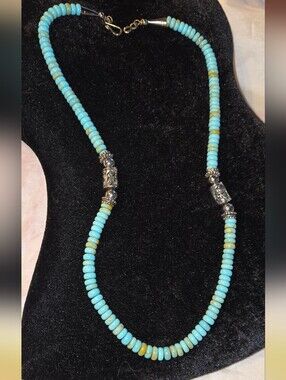 Royston Turquoise and Sterling Beaded Necklace 22 Inch